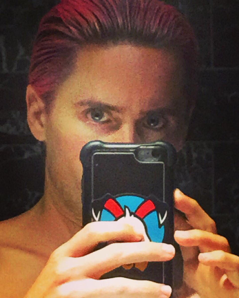 JaredLeto's tweet image. 