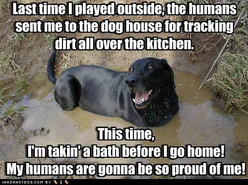 funnyanimals298's tweet photo. https://t.co/cGXmj8MeBl