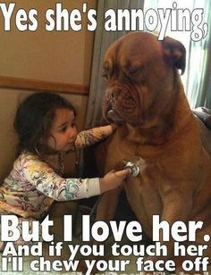 funnyanimals298's tweet photo. https://t.co/cGXmj8MeBl