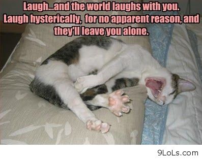 funnyanimals298's tweet photo. https://t.co/cGXmj8MeBl