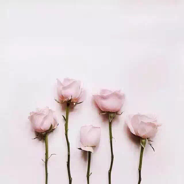 xiaohanwang4's tweet photo. success and my dream https://t.co/VQaWLGSAA0 https://t.co/fkShPyjZ23