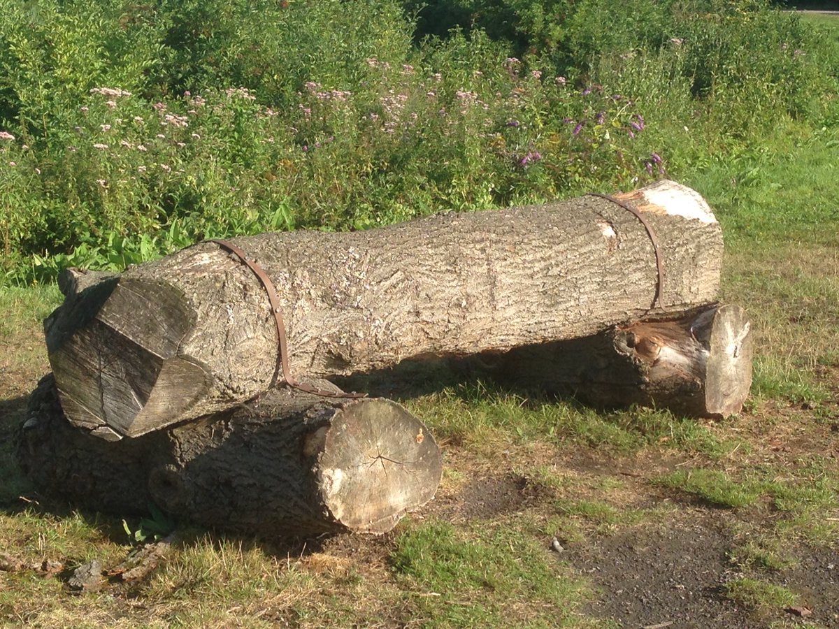 Sinlenoble (@sinlenoble) on Twitter photo 