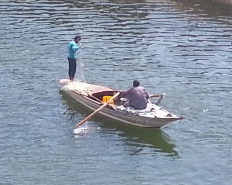 t_metwalli5's tweet photo. #Egypt #Cairo #Nile #River #Fishing today https://t.co/EJoru6OJBR