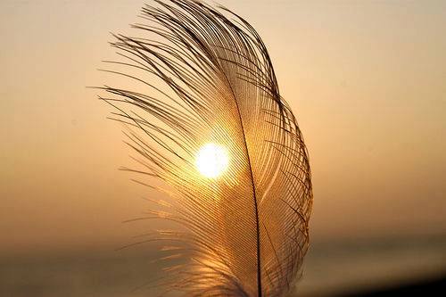 Enjoy the beauty in simple things