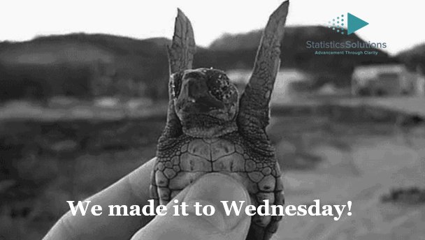 Data_Insights's tweet photo. It’s Wednesday! What dissertation milestones have you reached this week? https://t.co/QfjSJnR0Sd