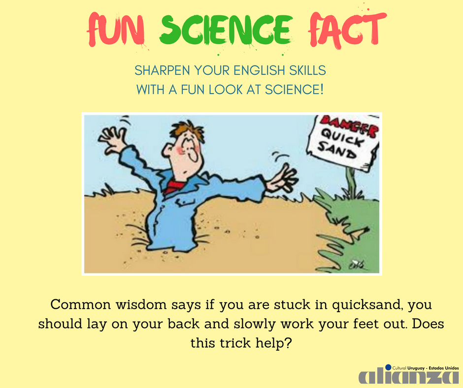 alianzaeduuy's tweet photo. #EnglishAndScience. See for yourself! https://t.co/rEwya5DAip https://t.co/JFiZ4k0UlO