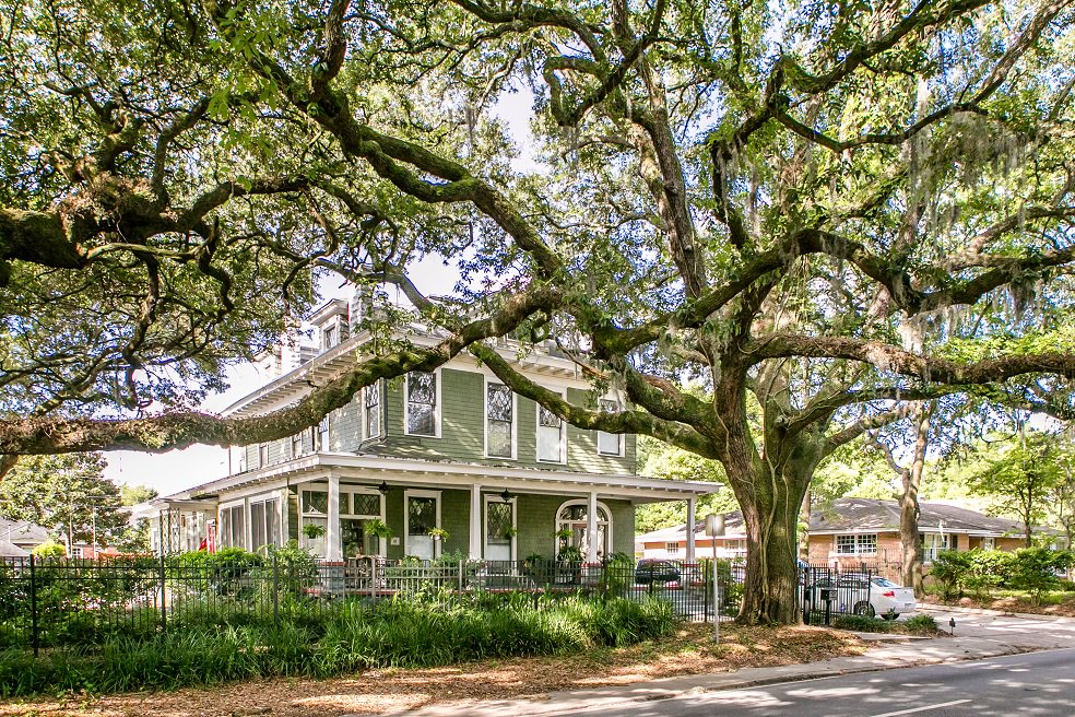 Visit Savannah tweet media
