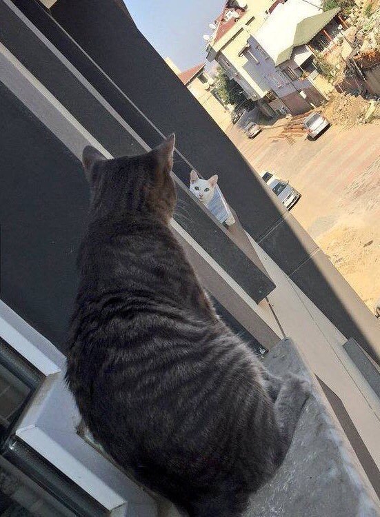 StumblerTop's tweet photo. Long distance relationship https://t.co/kv9boyu6m2