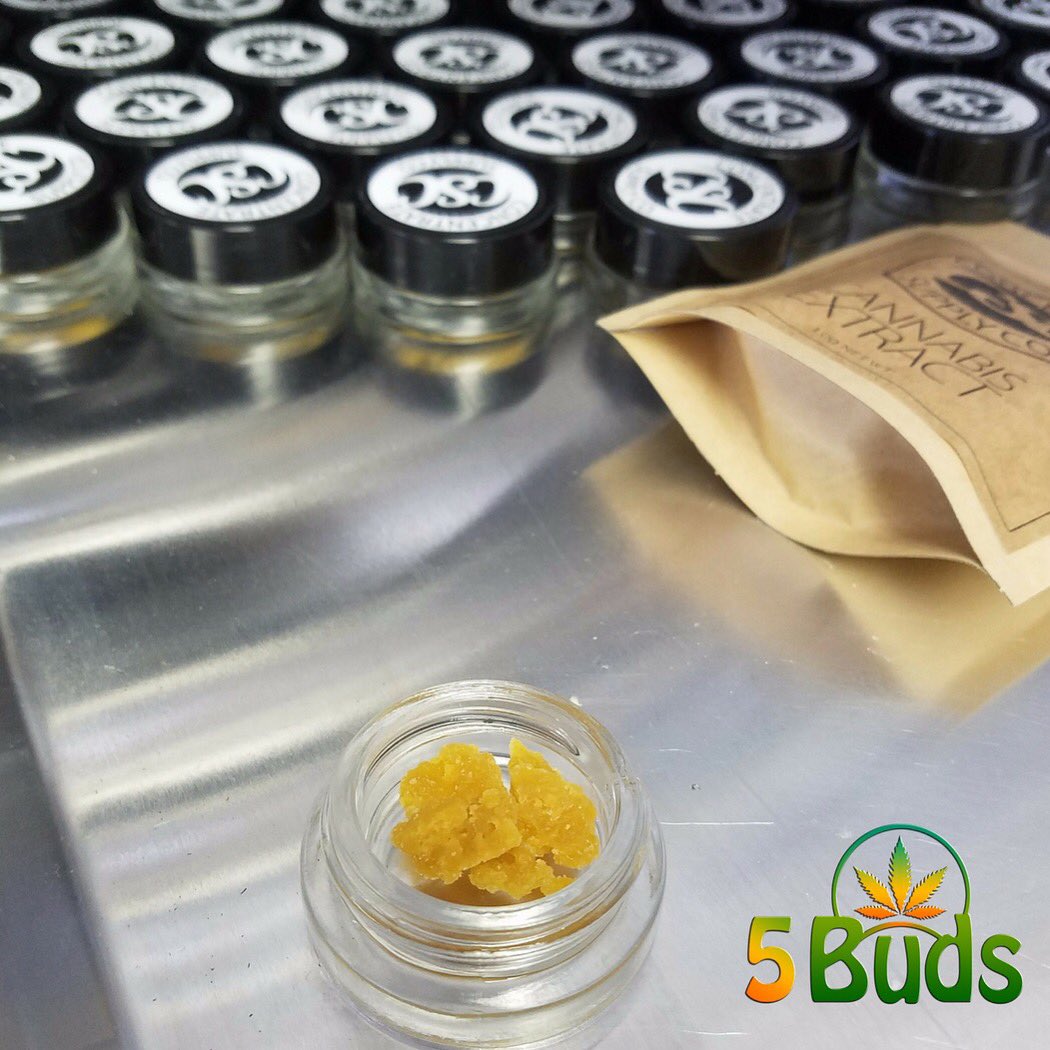 5 Buds tweet media