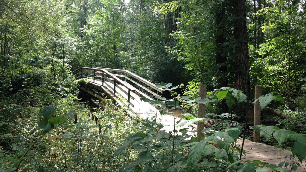 chasemarch's tweet photo. Nothing better than a #trailrun. #StrathroyConservationArea #Strathroy #LdnOnt #running https://t.co/lwS9vcxY8t
