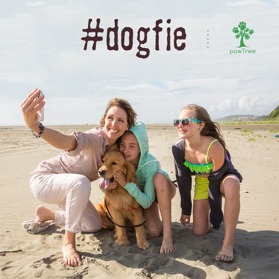 GoFetchpawTree's tweet image. No more #selfies its all about the #dogfie
pawtree.com/gofetch
#pawtree #gofetch #pawtreedogs #allnaturaldogfood