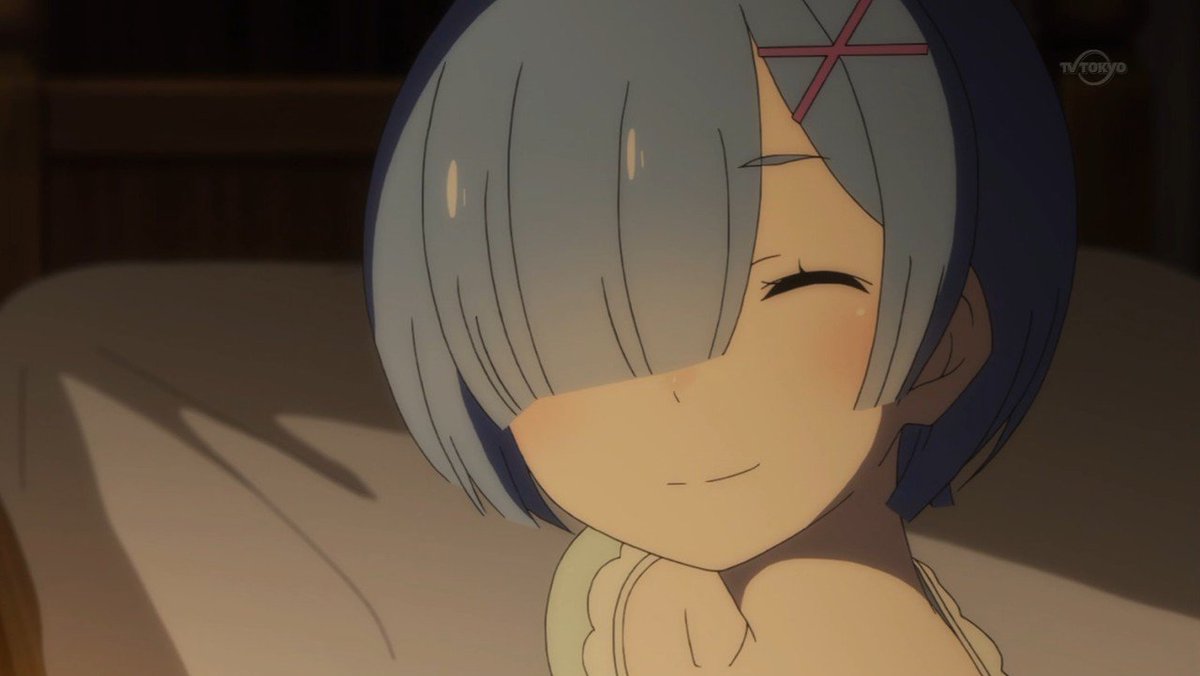 Rem_Re_zero2's tweet photo. ありがとうございます、スバルくん。スバルくんのクッションが商品化されたらレムも購入させてもらいますね。 https://t.co/qFuSYsMsDp