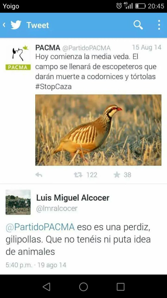 amazzario's tweet photo. @LaOrson https://t.co/6oOWZ21Tfe