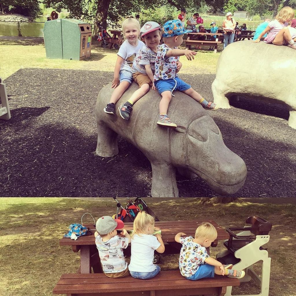 naklane's tweet photo. #cousins #whipsnadezoo #lanesofcorby #sethharry #hugojames https://t.co/iFPut7nhkC https://t.co/pIWtaC31ui