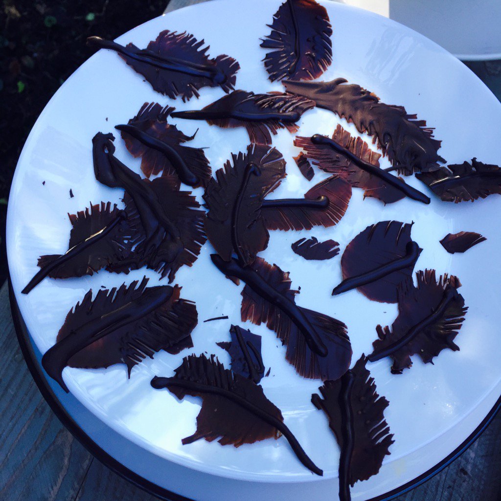 evakmathijssen's tweet photo. Made dark chocolate bird wings for @tallestman Let's hope they feel at home @OLTBloemendaal. https://t.co/cK97tbrGEb