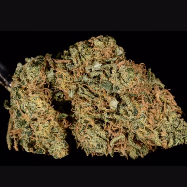 FDCollective's tweet photo. Guess the strain...it's dreamy @weedmaps #farmersdaughtercollective serving #neportbeach and #lagunabeach https://t.co/d88PdYc3io