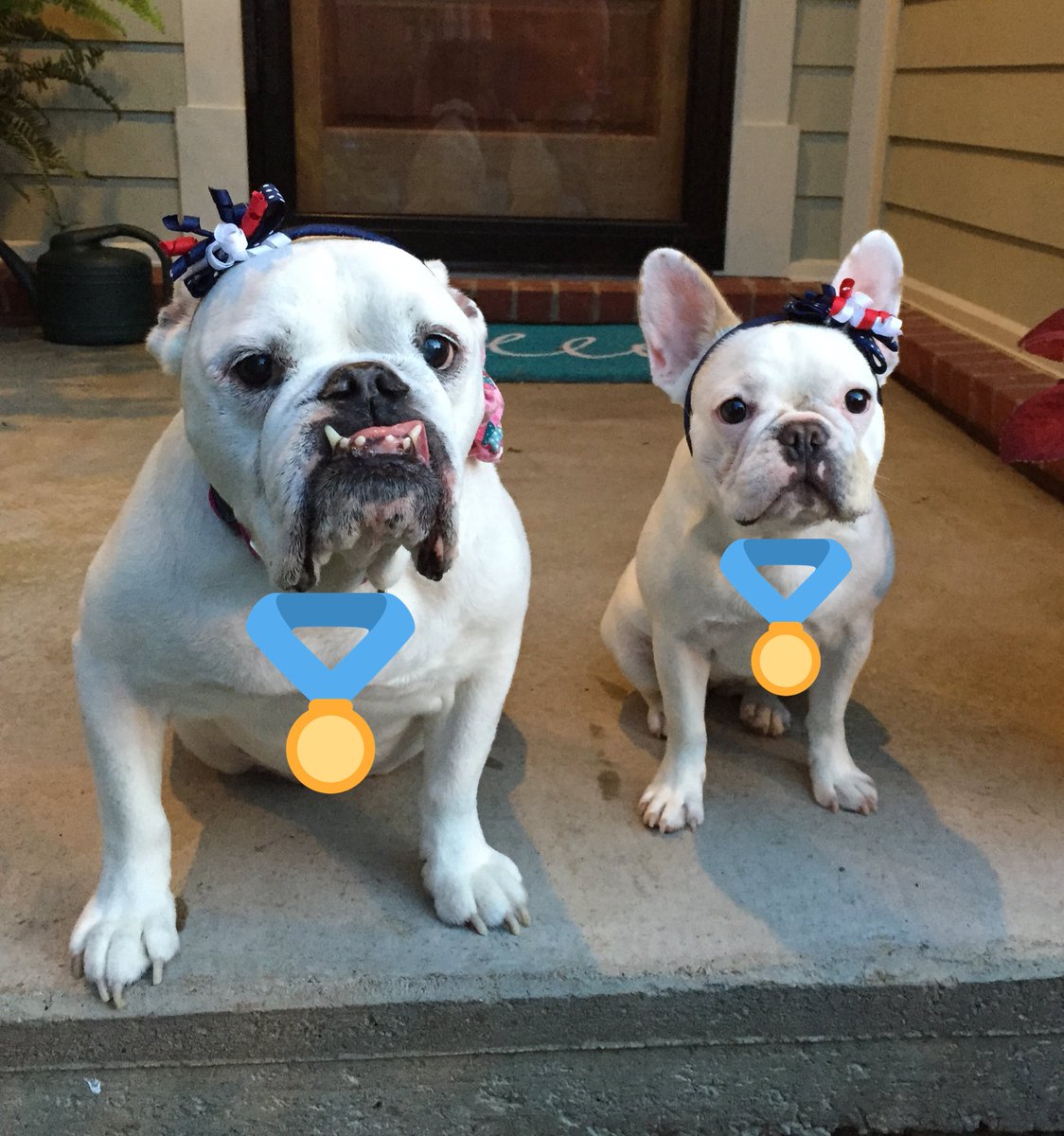 gloveritchey's tweet photo. Hey @Lesdoggg ! How 'bout a shout out for your fellow Memphis girls? #slayallday #goldmedalwinners #allthingscute https://t.co/U2ssDvJhvz
