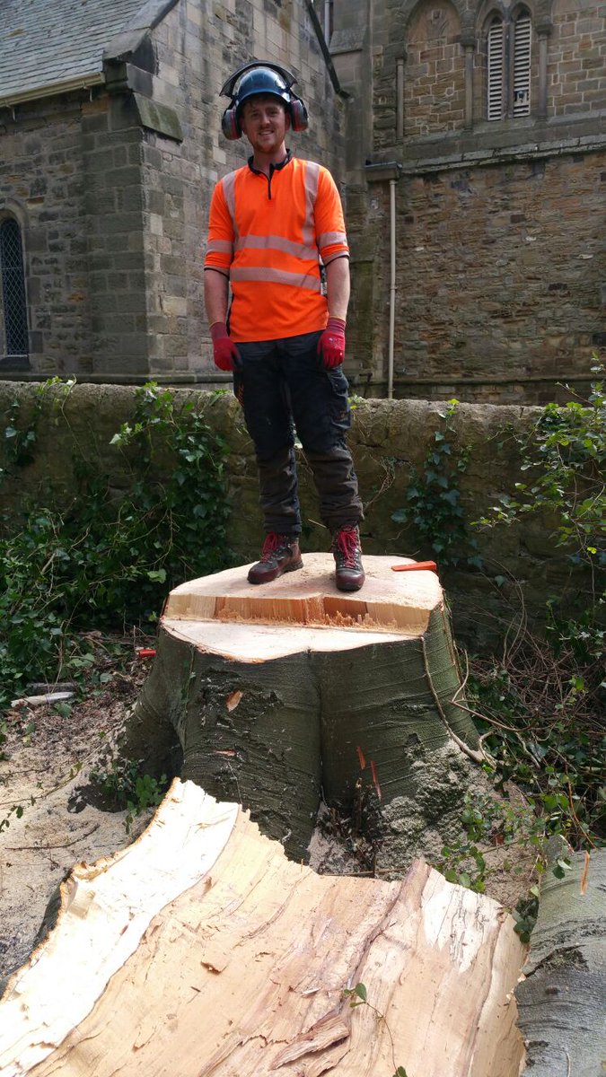 How come the stump never looks as big on the pics, this tree was a big momma