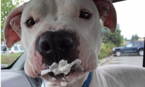 Boston 25 News tweet media