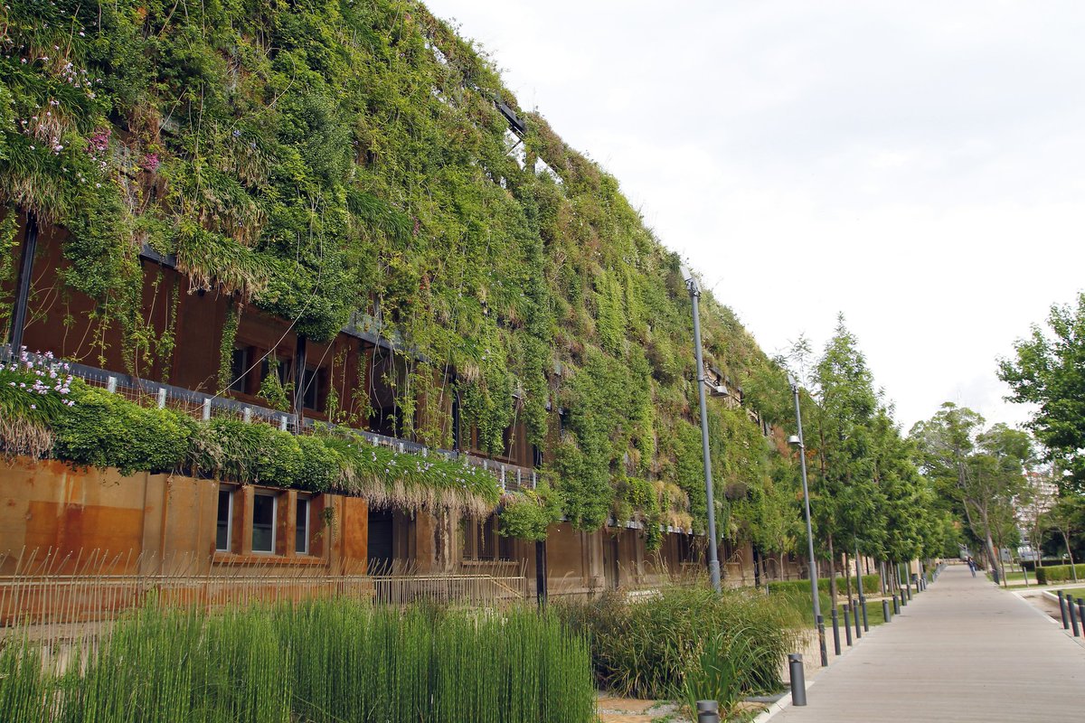 Ambius's tweet image. #GreenWallWednesday Take a look at the plants you can use in a vertical garden! ow.ly/uDa2303iB0V