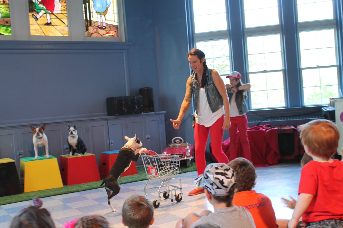 ldnchildmuseum's tweet photo. Day 48 was incredible with our amazing special guest #UltimuttsStuntDogShow. #65daysofplay #ldnont https://t.co/2EE9rx9lQe