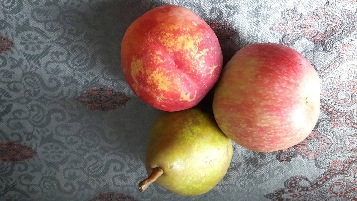 Hillhurst Sunnyside is having their Heritage Market today. A fun event with games &amp; an apple decorating table!