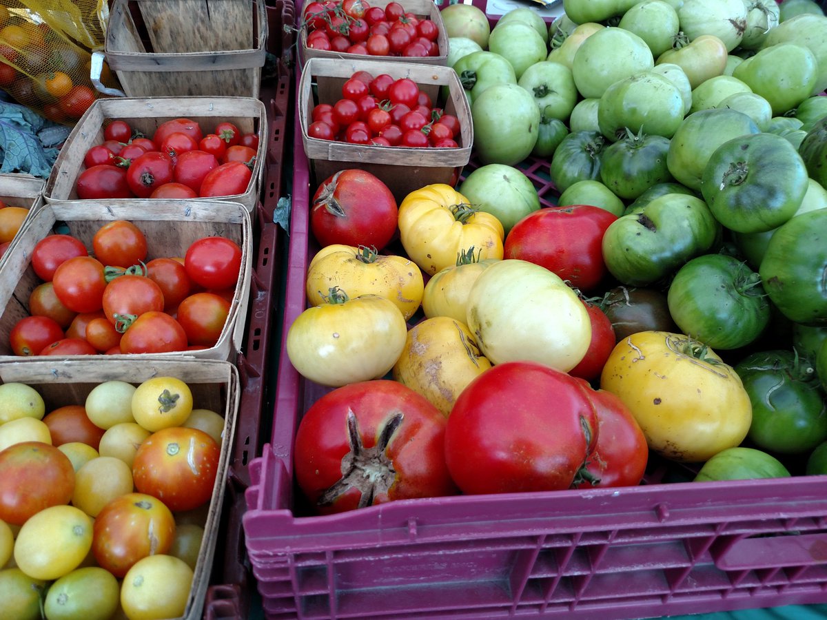 GPCCouncil's tweet photo. Kale, tomatoes, squash, peppers. Come to the Market tomorrow, 3:3-6, Lake and Kedzie! https://t.co/xmj5zgtZBW