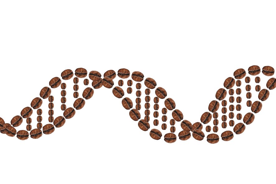 sprudge's tweet photo. Is coffee good for you? The answer may be genetic. https://t.co/D3zNP2PSMg https://t.co/TWRetYnvOq