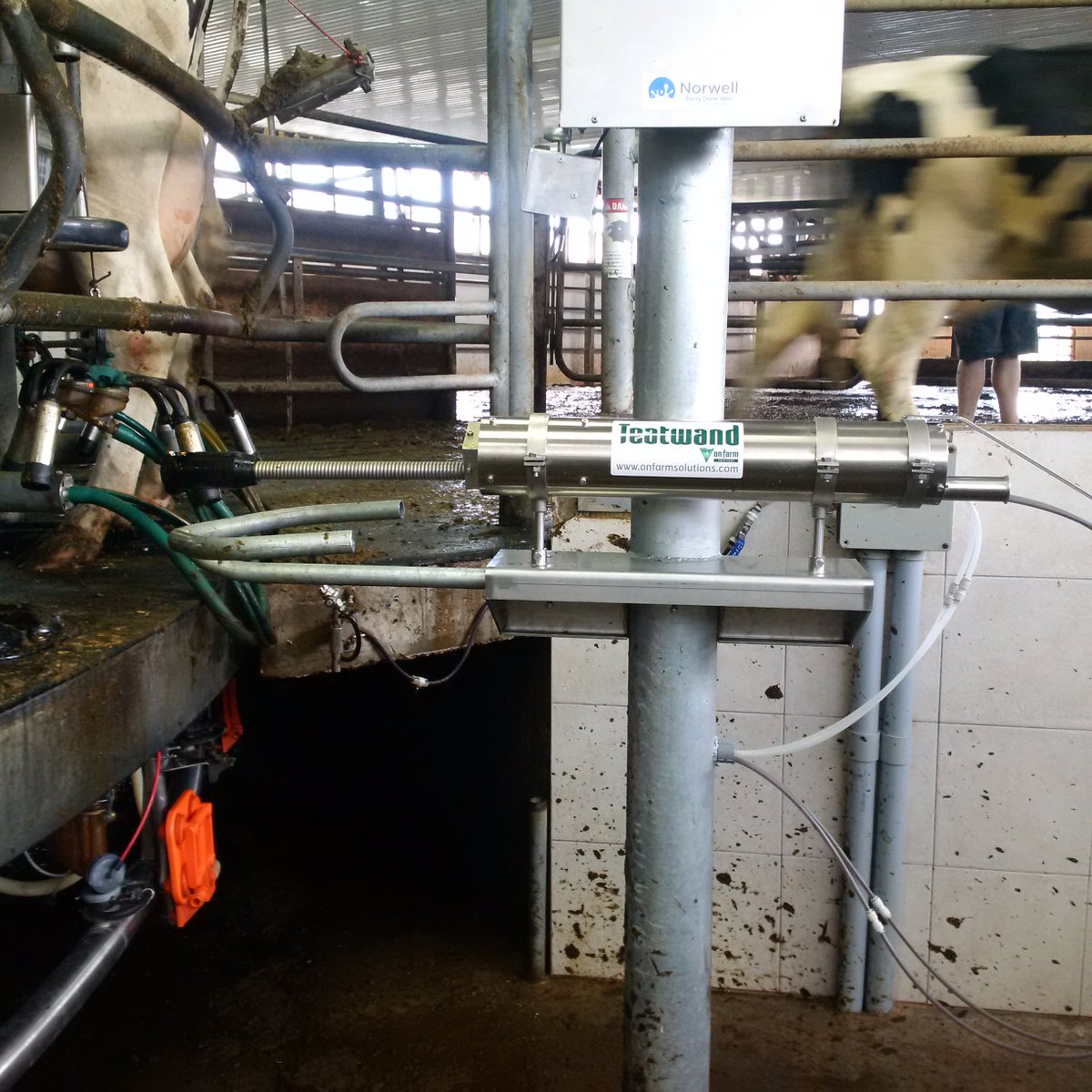 dmolenaar_dirk's tweet photo. More pic's of this exciting new product from @NorwellDairy #dairydonewell @vdirksen @mattdirka https://t.co/Q56MeWsg6H