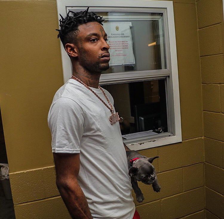 SartoriallyInc's tweet photo. 21 savage has a french bulldog puppy named louie savage https://t.co/5AFTyGYxHe