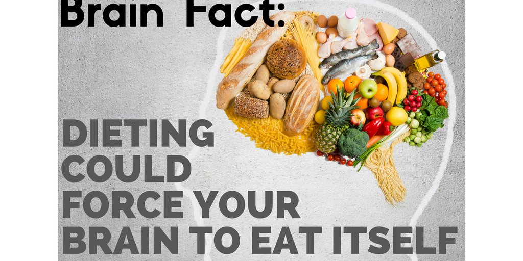 Keep your brain healthy! Also, don't forget to consider participating in research near you! #brainfacts #research