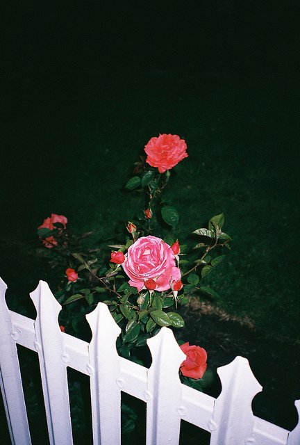 tumblr_x_grunge's tweet photo. grunge love https://t.co/jpW5G0qU7B