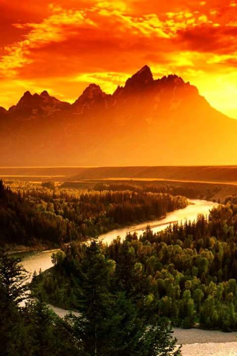 AlemanReginal's tweet photo. @GreyAki @faysalyouness @thylu11 @AracelisTorre19 @MvVeas @imarinescu2002 @isakx29 https://t.co/0ZRHDO1ENV