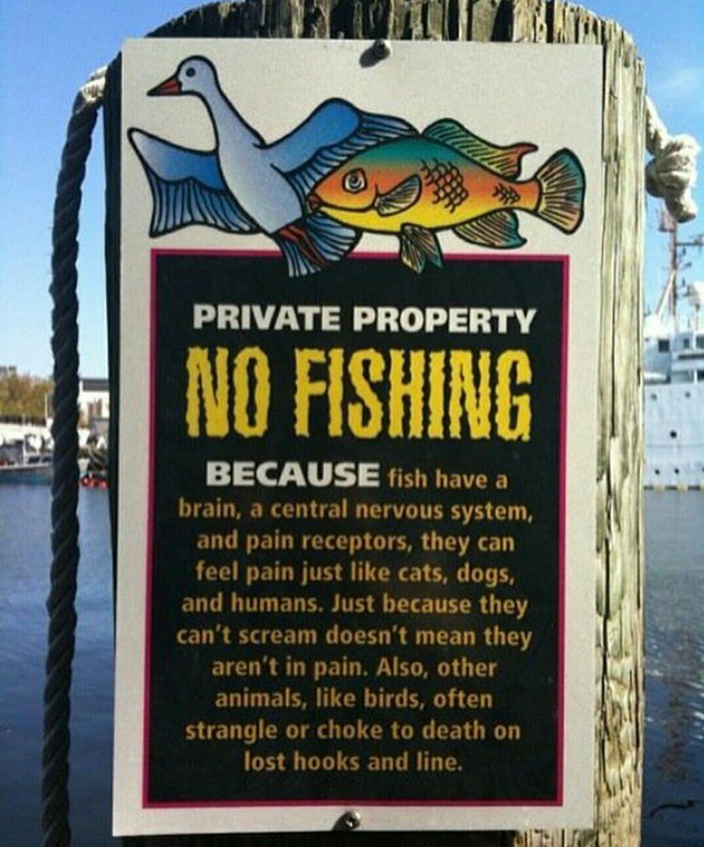 Fish_Feel's tweet image. These need to be everywhere! 

#NoFishing #Sealife #FishingHurts #FishFeel #Animals