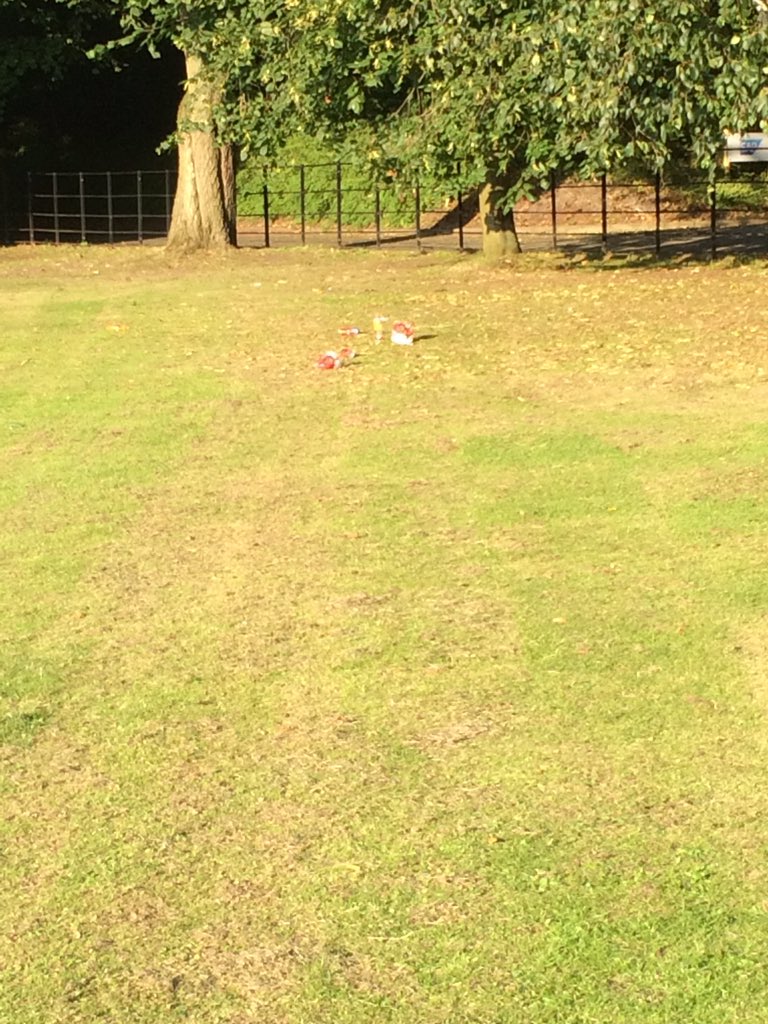 s_southworth's tweet image. What, now you&apos;ve enjoyed the park, no one else can? #rubbish #selfish #knutsford #disgusting