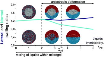 PSMT_Lab's tweet image. #2016PSMTpapers "A polymer microgel at a liquid–liquid interface: theory vs. computer si..." pubs.rsc.org/en/Content/Art…