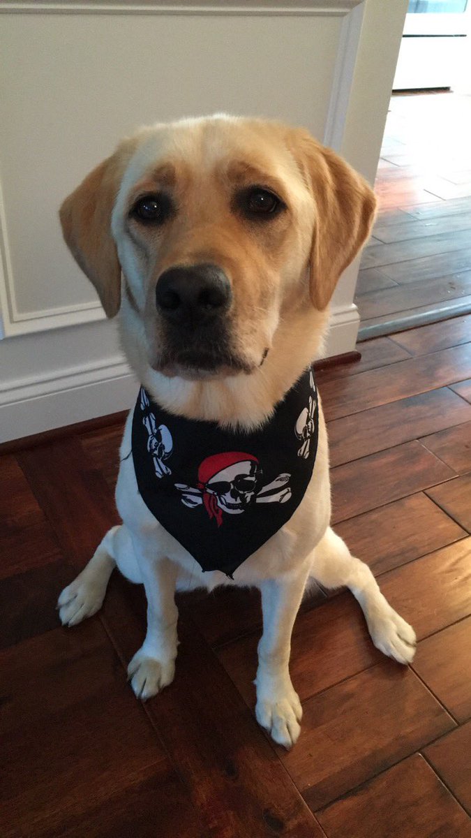 Kelly Murkey tweet media