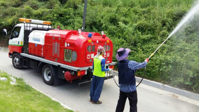 #성남시, 돌발해충인 미국선녀벌레 긴급 방제에 나섰다. 3600만원을 투입해 다음달 말까지 방제 작업을 한다. 작물의 즙액을 빨아 먹고 다량의 왁스 물질을 배출해 상품성과 생산량을 떨어뜨리는 외래 해충이다.