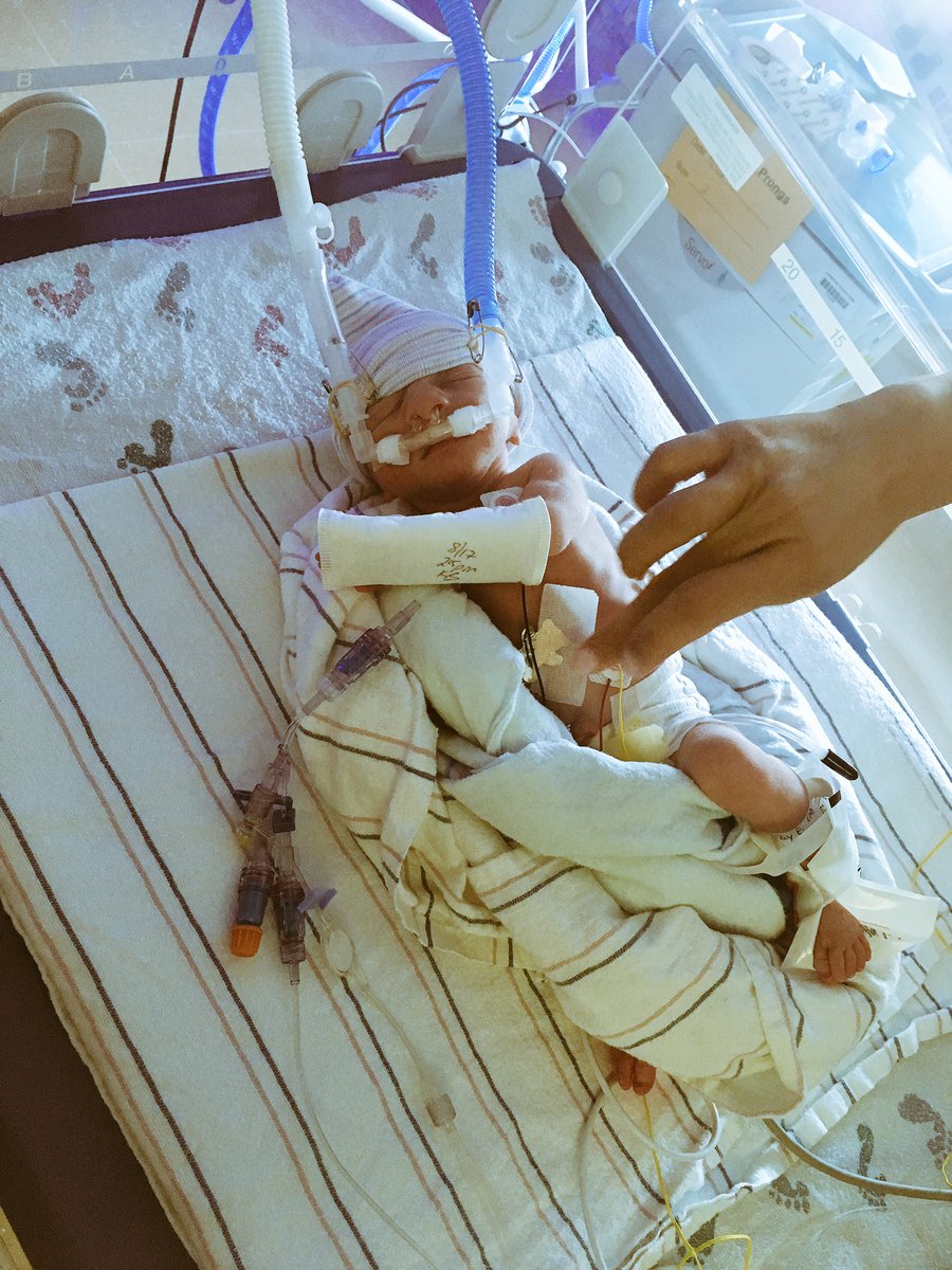 BriMiller_'s tweet photo. My nephew is literally the most perfect 3 lb peanut in the world https://t.co/K3oZQY0voZ