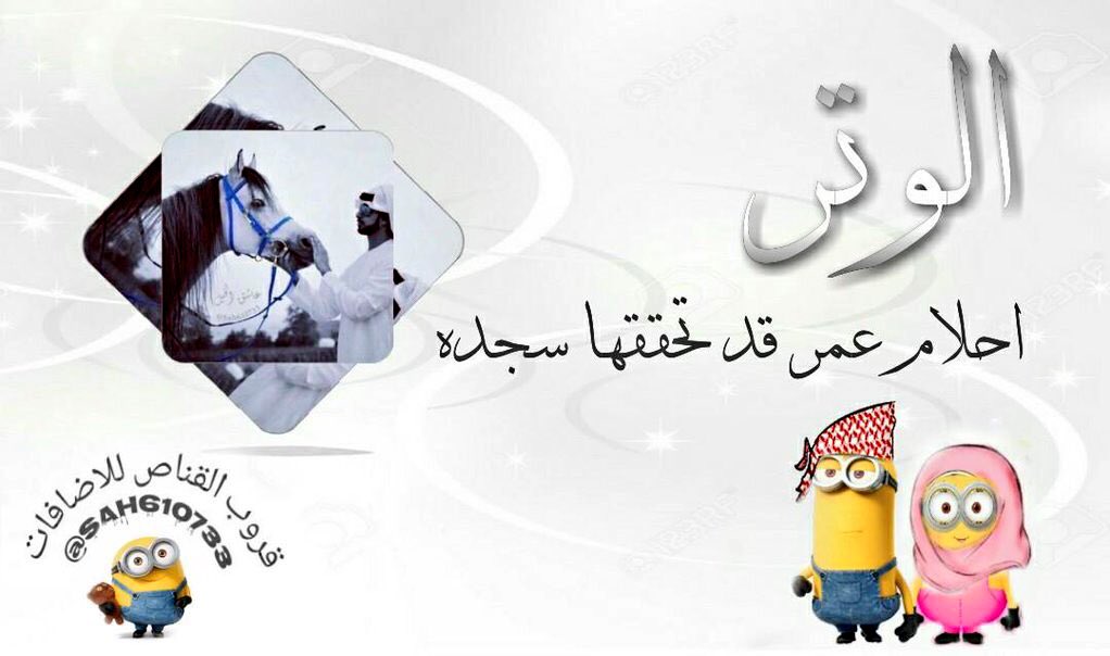 E__3Q_3's tweet photo. هُناك سَجدة فِي آخر الليل
محبوبة عند الله ، تتخللها
مَغفرة، وَاستجابة دُعاء وَ
رزق و فرحة ؛ فَلا تستهينوا بها
#الوتر https://t.co/8EOYGetdRM