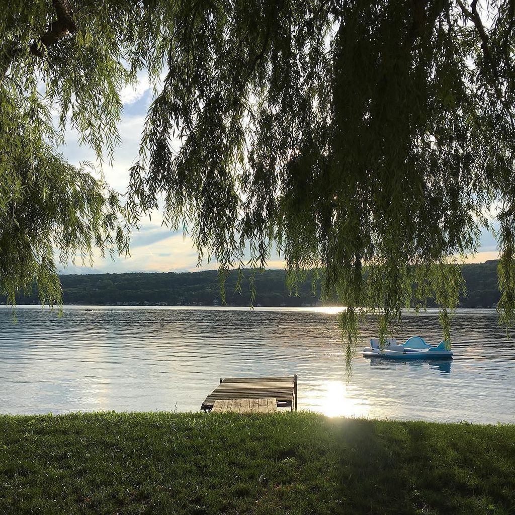 MyFingerLakesNY / MM tweet media