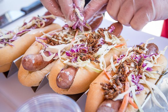 KiSS925's tweet photo. #BugDogs anyone? Ride All Day Passes + Food/Drink Vouchers to @LetsGoToTheEX coming up after 8p w/ @devobrown! https://t.co/STyUpK0oHS