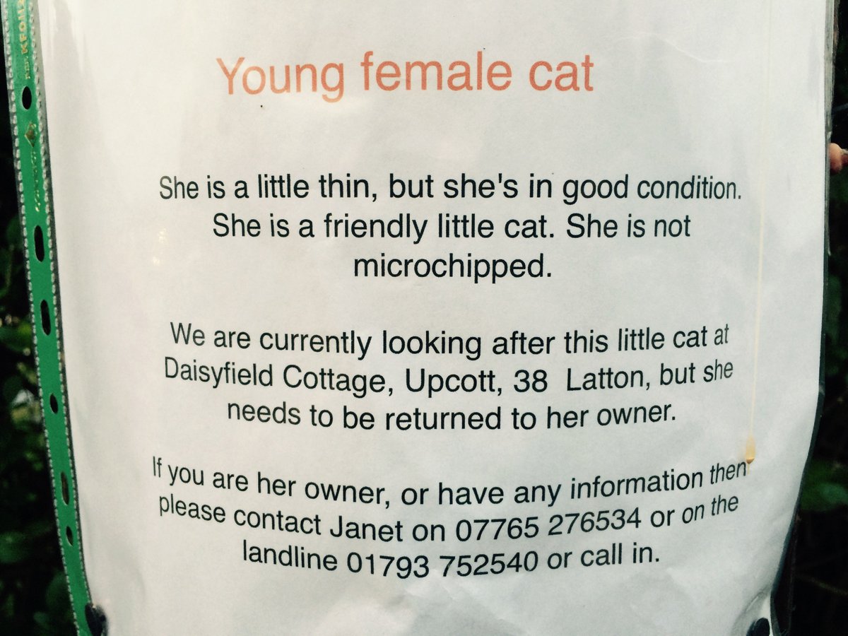 LattonParish's tweet image. Found:  have you lost a Cat?  Please contact for details. See attached #latton #LostCat