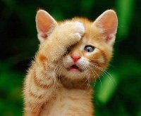 when they send you an email to confirm that you don't want to receive anymore emails #facepalm #whatweretheythinking
