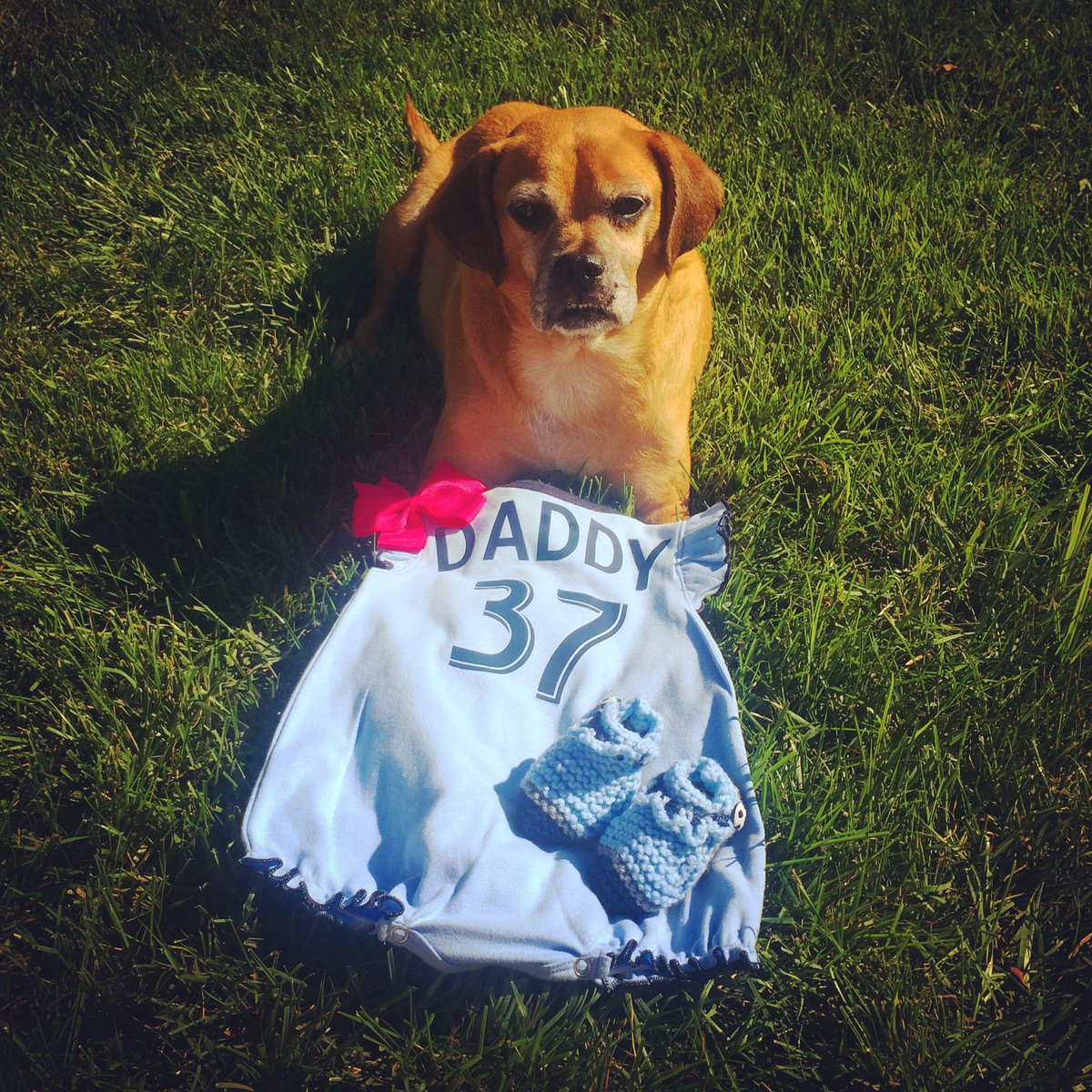 Adding one more to our family just in time for next season...baby girl Peterson coming in January <a href="/laurenpreston/">Lauren Peterson</a> 🎀🎀🎀