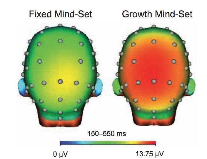 misterwootube's tweet photo. "Productive persistence" is what ignites neural activity @joboaler #mathsnum16 https://t.co/7Y3uUFKdVQ