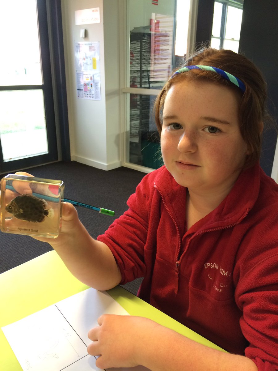 4/5 Stone tweet media