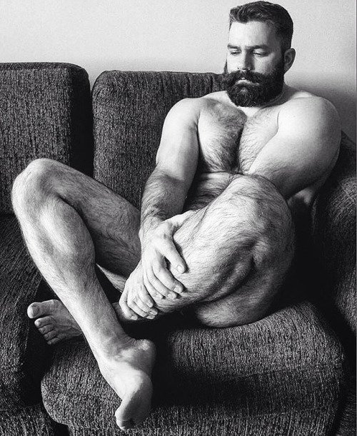 Hairygay Twitter Stars (@WolfK97) / Twitter