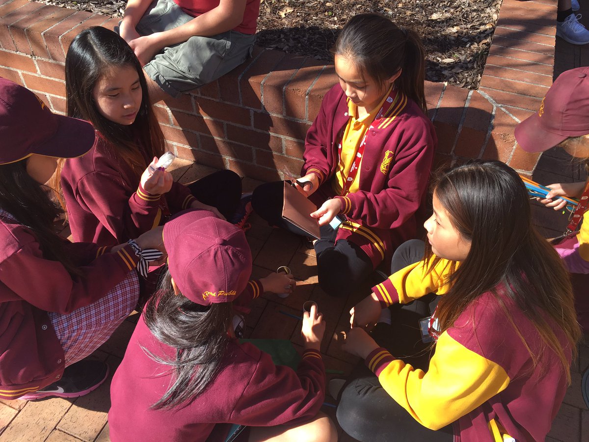 LisaSuntsov's tweet photo. 5/6W demonstrating the 4Cs! WSU introducing our students to a wide range of learning possibilities 👍🏻 https://t.co/LyyqR3LJNh