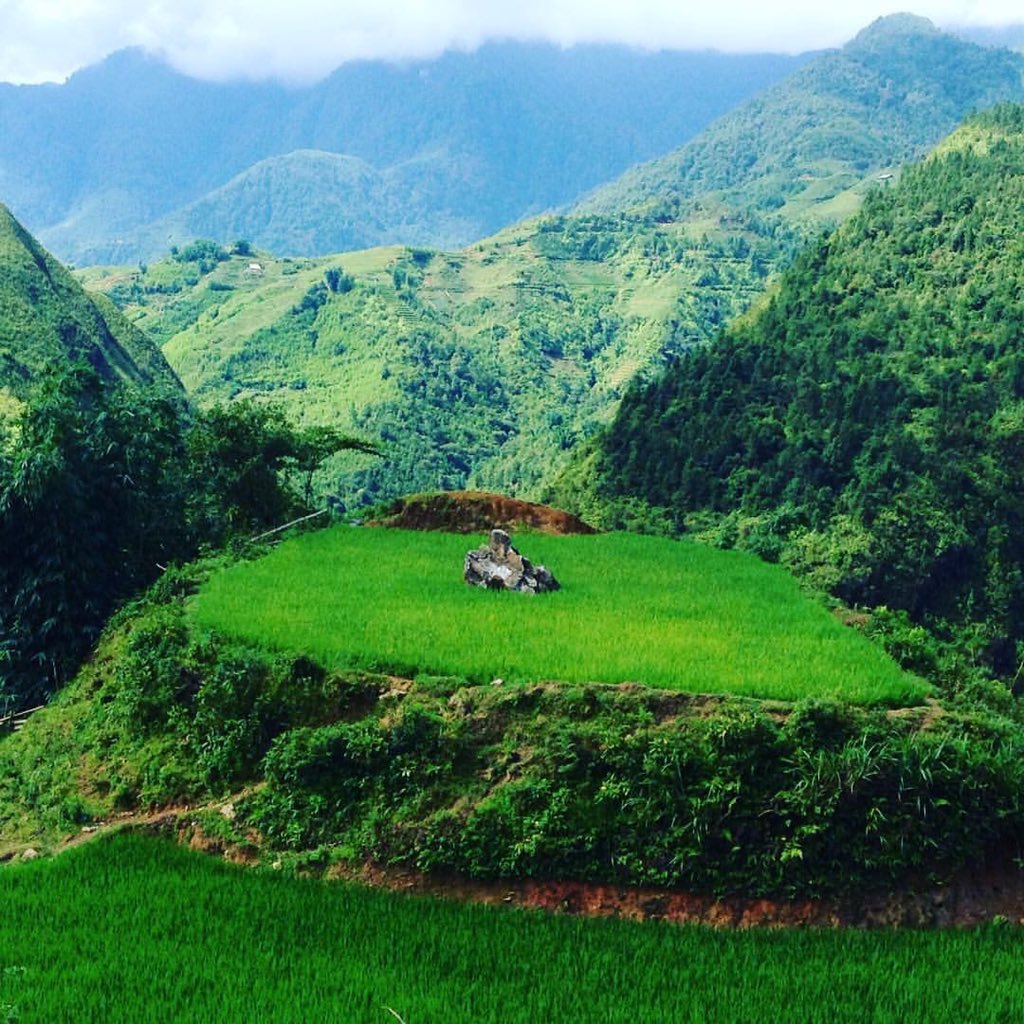 JohnnyBeardy187's tweet photo. There is something spiritual about this picture, as well as the awe inspiring view. #spiritual #vietnam #backpacking https://t.co/lyAggZiKDk